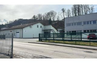 Lager mieten in Wiesenstraße 27a-b, 4812 Pinsdorf, Auslieferungslager | Lagerhallen mit Personal und Büroflächen zu vermieten | 2 Min. Entfernung von Autobahn A1 Regau | PINSDORF