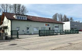 Büro zu mieten in Wiesenstraße 27a-b, 4812 Pinsdorf, BÜROS zu Vermieten | 2 Min. entfernt von Autobahn A1 Regau | PINSDORF