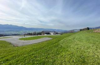 Grundstück zu kaufen in 6710 Übersaxen, Baugrundstück in Übersaxen: Panoramablick vom Bodensee bis zum Säntis.
