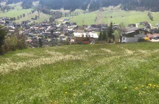 Immobilie kaufen in 6314 Niederau, Lebensfähiger Bergbauernhof in Sonnenlage in der Wildschönau zu verkaufen