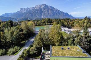 Haus kaufen in 5412 Puch bei Hallein, Multifunktionales Gebäude in Puch-Urstein