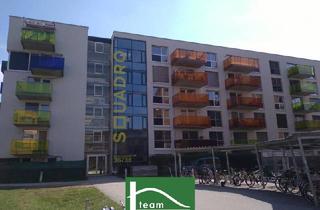 Wohnung mieten in Semmelweisstraße, 4020 Linz, PROVISIONSFREI - Wohnungen sofort bezugsfertig - WG-geeignet! Mit Balkon, Terrasse, Loggia. - WOHNTRAUM
