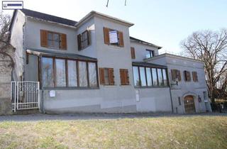 Haus kaufen in 2102 Bisamberg, Beste Lage Bisamberg – Sanierung – Umbau – Wohnfläche noch ausbaubar - zusätzlich 600m² Obstgarten als Pacht