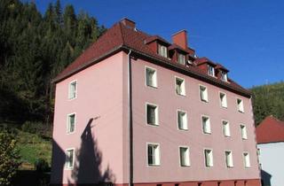 Wohnung kaufen in St. Barbara Im Mürztal, 8662 Mitterdorf im Mürztal, 2 Zimmer Wohnung in St. Barbara im Mürztal in der Nähe von Stuhleck-Semmering