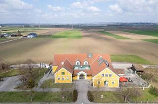 Gewerbeimmobilie kaufen in 3464 Hausleiten, "gut eingeführte Raststation mit Potenzial an der S5"