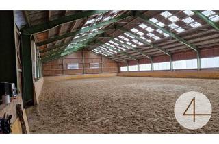 Agrarfläche kaufen in 3240 Mank, Pferdestall, Reitanlage Wohnungen und Koppeln, sanierungsbedürftig 5,5 ha Gesamtfläche