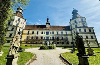 Haus kaufen in 3900 Schwarzenau, Prunkvolles Schloß mit Park und Schloßteich