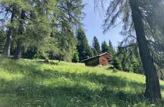 Immobilie kaufen in 6156 Gries am Brenner, Berghütte zu verkaufen
