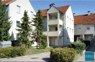 Wohnung mieten in Karl-Hammer-Ring 1, 39 U. WE 1/1, 3133 Traismauer, Erdgeschoßwohnung mit Terrasse