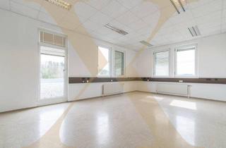 Büro zu mieten in 4600 Thalheim bei Wels, Bürohaus mit zwei Terrassen und ca. 70 Parkplätzen zu vermieten!