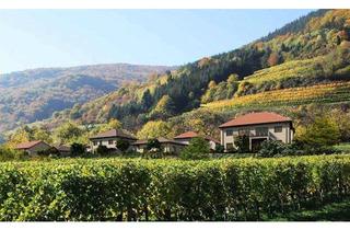 Wohnung kaufen in 3620 Spitz, Attraktive Ferienwohnung als Zweit- oder Hauptwohnsitz mit Blick auf die Donau in der wunderschönen Weinbauregion Wachau