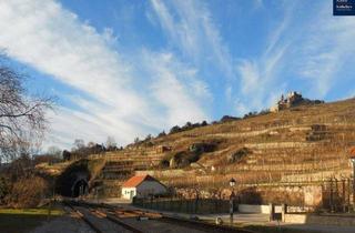 Wohnung kaufen in 3601 Dürnstein, Gartenwohnung mit zauberhaftem Blick auf die Burgruine Dürnstein