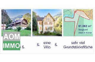 Villen zu kaufen in 9816 Penk, Pension & Gasthof & Villa & Baugrund & Wald & Wiese