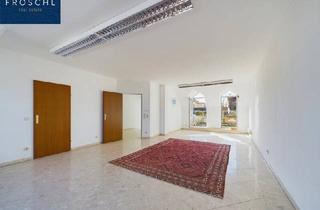Büro zu mieten in 2130 Mistelbach, Top 4 - Work & Live über den Dächern - Bürofläche od. Wohnung im Dachgeschoss - 100 m² inkl. zwei Balkonen