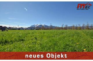 Grundstück zu kaufen in 6800 Feldkirch, Optimales Baugrundstück für eine Doppelhaus- oder Kleinwohnanlage