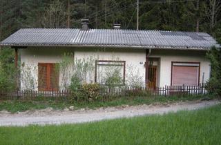 Haus kaufen in 2662 Schwarzau im Gebirge, Schönes kleineres Haus in sehr ruhiger traumhafter Waldrandlage
