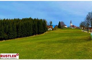 Grundstück zu kaufen in 9400 Wolfsberg, Baugrundstück im Ausmaß von 1.737 m² mit Almcharakter Naturparadies Lavanttal