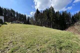 Grundstück zu kaufen in 8181 Sankt Ruprecht an der Raab, Großzügiger, sonniger Baugrund in Waldrandlage mit toller Aussicht Nähe Weiz - voll erschlossen!