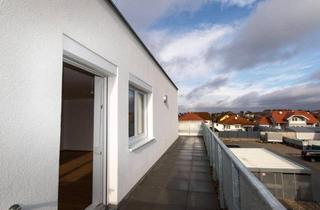 Wohnung mieten in Veilchengasse 12/11, 2274 Rabensburg, ERSTBEZUG: Helle Dachterrassenwohnung