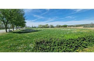 Grundstück zu kaufen in 8265 Hartl, Grundstück für Sport oder Camping direkt neben dem See und Freizeitpark.