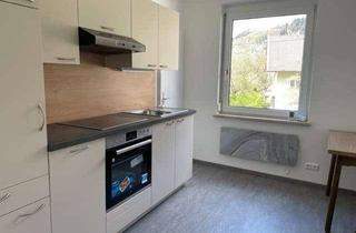 Wohnung mieten in 9873 Döbriach, Renovierte 2-Zi Wohnung mit neuer DAN Küche in Döbriach am Millstättersee - ohne Maklergebühr - sofort verfügbar