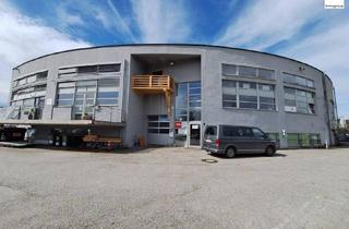 Büro zu mieten in Salzburger Straße 54, 5303 Thalgau, Ihr neuer Standort in Thalgau! BÜRO/PRAXIS ab 70 m² - 170 m² mietbare Flächen