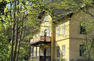 Villen zu kaufen in 2650 Payerbach, Stilvolle Gründerzeitvilla – Wohnen und Arbeiten unter einem Dach