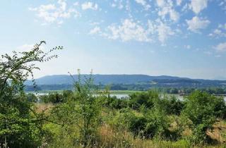 Grundstück zu kaufen in 3652 Leiben, Baugrund an der Donau bei Melk mit Traumausblick bis zum Ötscher