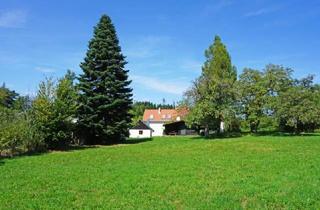 Grundstück zu kaufen in 3021 Pressbaum, Grünland mit erhaltenswertem Gebäude - Grünruhelage nur 18 km von Wien