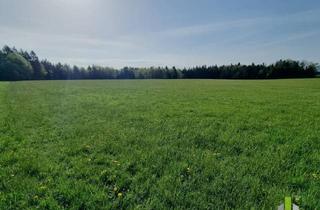 Grundstück zu kaufen in 5162 Obertrum am See, Landwirtschaftliches Grünland mit Waldfläche