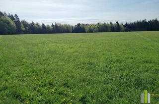 Grundstück zu kaufen in 5162 Obertrum am See, Landwirtschaftliches Grünland mit Waldfläche