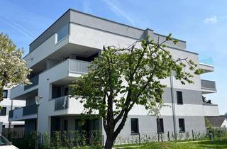 Wohnung kaufen in Stiftstraße, 4490 Sankt Florian, Modernes barrierefreies Wohnen in den Stifts-Chalets!