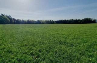 Gewerbeimmobilie kaufen in 5162 Obertrum am See, Landwirtschaftliches Grünland mit Waldfläche