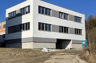 Büro zu mieten in Weingartenstraße 14a, 4100 Ottensheim, Bürofläche mit ca. 71,54 m² im Büro- u. Garagenpark Ottensheim BT II zu vermieten