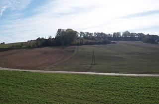 Gewerbeimmobilie kaufen in 4072 Alkoven, Landwirtschaftlicher Nutzgrund