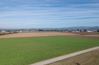 Grundstück zu kaufen in 4072 Alkoven, Landwirtschaftlicher Nutzgrund in Alkoven