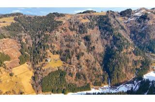 Gewerbeimmobilie kaufen in 9413 Untergösel, Traumhaftes Land- und Forstparadies in Kärnten Perfekt für Naturliebhaber!