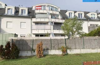 Wohnung mieten in In Den Weiden, 2230 Gänserndorf, Stadtrandwohnung mit Terrasse und Tiefgarage