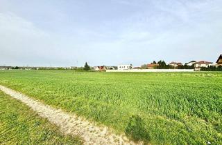 Gewerbeimmobilie kaufen in 2462 Wilfleinsdorf, Bauhoffnungsland in 2462 Wilfleinsdorf