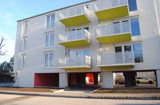 Wohnung mieten in Bahnhofstraße 56, 2232 Deutsch-Wagram, Moderne Neubaumietwohnung mit Balkon in der Bahnhofstraße 56 Top 13, Deutsch-Wagram