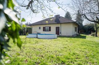 Haus kaufen in 2486 Pottendorf, ** Netter Bungalow mit Wintergarten auf großem Grundstück - Direkt beim Schlosspark **