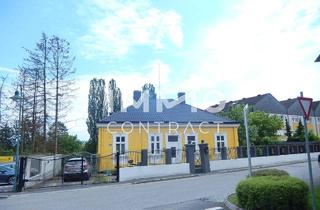 Grundstück zu kaufen in 3370 Ybbs an der Donau, 2.383 m² Grund im Bauland-Kerngebiet von Ybbs, mit alter Villa
