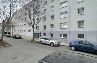 Wohnung mieten in Bertlgasse, 1210 Wien, Komfort und Stil vereint: Modernisierte 2-Zimmer-Wohnung in Floridsdorf