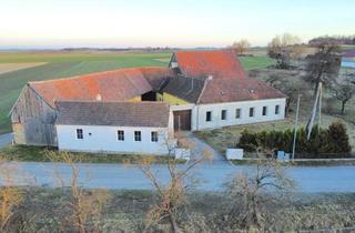 Bauernhäuser zu kaufen in 2095 Drosendorf Stadt, Provisionsfrei: Sanierungsbedürftiger Bauernhof in Ruhelage!