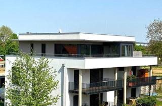 Penthouse kaufen in 8490 Bad Radkersburg, Modernes Penthouse mit eigenem Liftzugang direkt in die Wohnung und dreiseitiger Dachterrasse mit Wintergarten