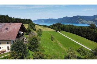 Bauernhäuser zu kaufen in 4864 Attersee, ID 726 Bauernhaus über dem Attersee mit Badeplatz