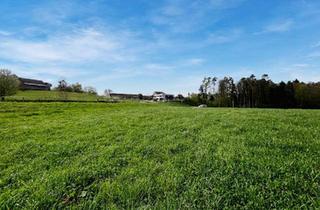 Grundstück zu kaufen in 8503 Sankt Josef (Weststeiermark), Baugrund mit tollem Weitblick Nähe Lannach!