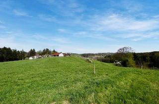 Grundstück zu kaufen in 8503 Sankt Josef (Weststeiermark), Schöner Baugrund in unverbaubarer Aussichtslage Nähe Lannach!
