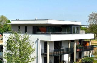 Penthouse kaufen in 8490 Bad Radkersburg, Modernes Penthouse mit eigenem Liftzugang direkt in die Wohnung und dreiseitiger Dachterrasse mit Wintergarten