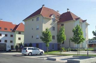 Wohnung mieten in 7361 Lutzmannsburg, Wohnung in Lutzmannsburg